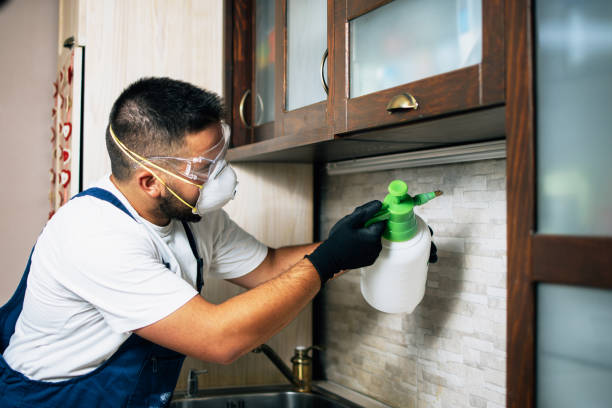 Best Termite Control Services  in Hurleyville, NY
