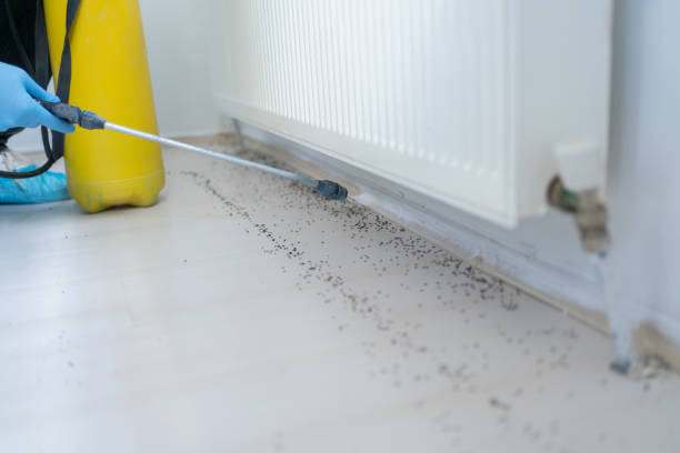 Best Commercial Pest Control Services  in Hurleyville, NY