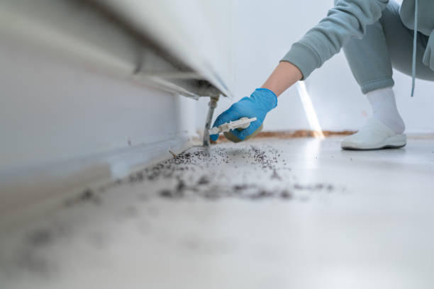 Best Affordable Pest Control Services  in Hurleyville, NY