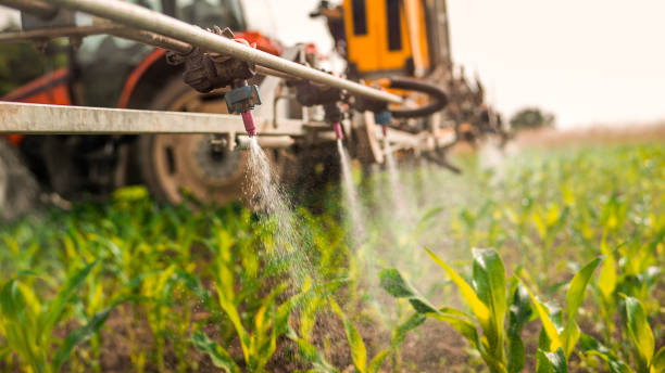 Best Ant Control Services  in Hurleyville, NY