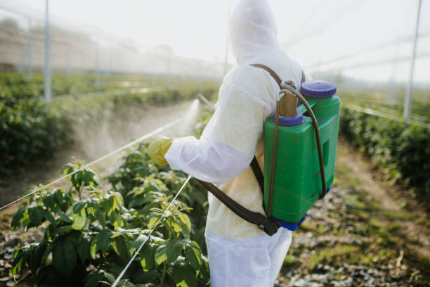 Best Pest Prevention Services  in Hurleyville, NY